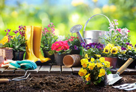Easy Gardening Tips by the Season