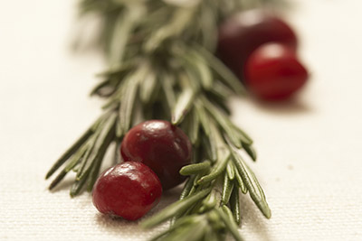 Fresh Cranberries  (VACCINIUM MACRO CARPON)