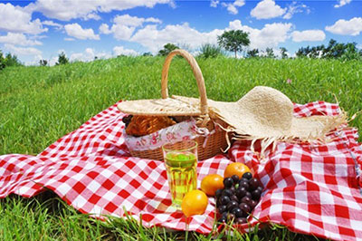 The Perfect Picnic - Staying safe & healthy