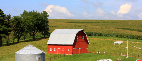 fresh from the farm produce