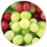 156x156 Carosel 1 66