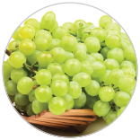 156x156 Carosel 1 71