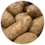 156x156 Carosel 4 53