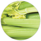 156x156 Carosel 5 53