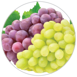 156x156 Carosel 5 66