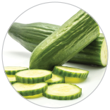 156x156 Carosel 6 62