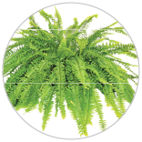 156x156 Carosel 7 25