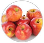 Apples 46