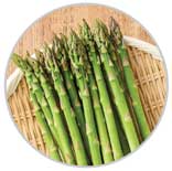 Asparagus 15