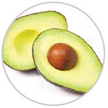 Avacado 1
