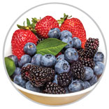 Berries 32