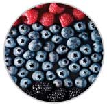 Berries 38