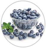 Blueberries 21