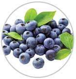Blueberries 25