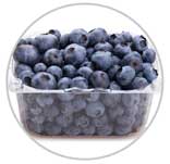 Blueberries 26