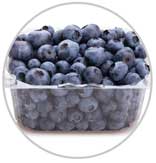 Blueberry 2