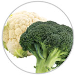 Broccoli 3
