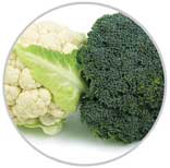 Brocoli 11