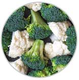 Brocoli 13