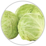 Cabbage 10