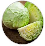 Cabbage 12