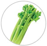 Celery 6