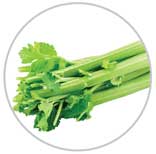 Celery 7