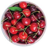 Cherries 26