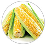 Corn 27