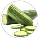 Cucumbers 1