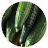 Cukes 33