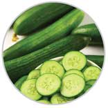 Cukes 36