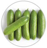 Cukes 43