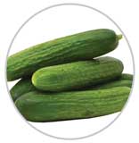 Cukes 52