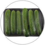 Cukes 8