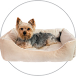 DogPillow 1
