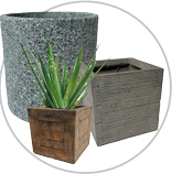 FlowerPot