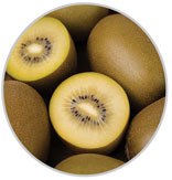 Gold Kiwi 2