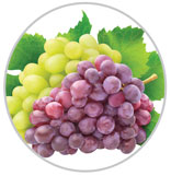 Grapes 41