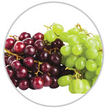 Grapes 43