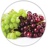 Grapes 47