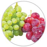 Grapes 49