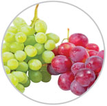 Grapes 6
