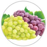 Grapes 61