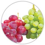 Grapes 62