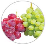 Grapes 63