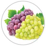 Grapes 66