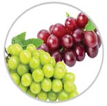 Grapes 67