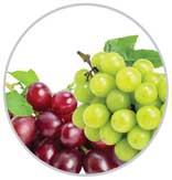 Grapes 68