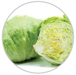 Head Lettuce